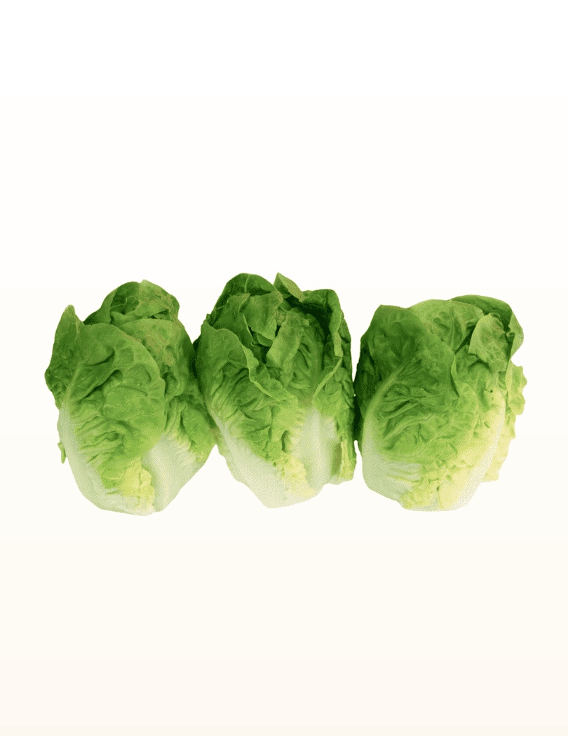 Salade Sucrine
